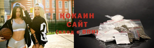 гидра Аркадак