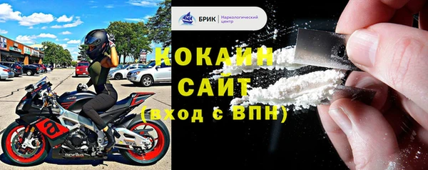прущие грибы Армянск