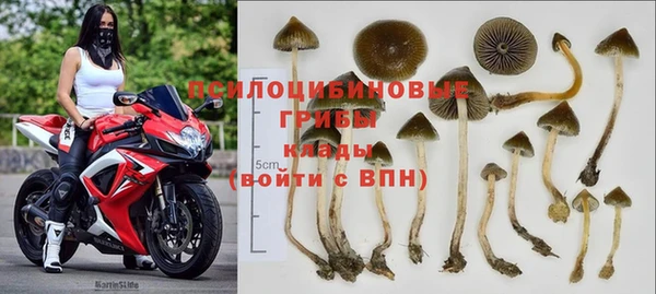 таблы Арсеньев