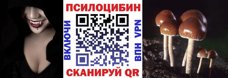 купить закладку  Пугачёв  kraken зеркало  Псилоцибиновые грибы мицелий 
